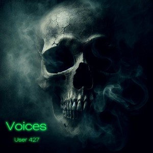 User 427 - Voices  
