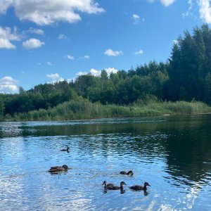 грустная песня