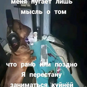N!K4k ne usnu турнир