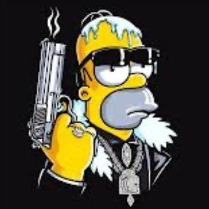 Step Right Homer - Freestyle