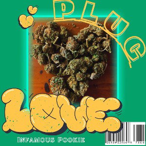 Plug_Love