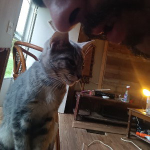 Pussycat In Producertiom