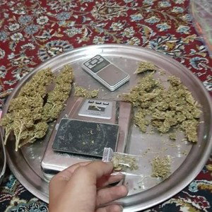 همه کار بلد شدید؟