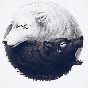 я читаю впервые 