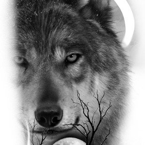 🐺⚡Cazador ( Rap 1)🐺