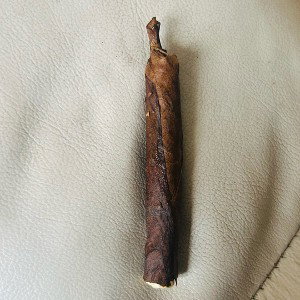 raised by them bluntz