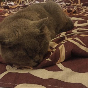 Коля помер