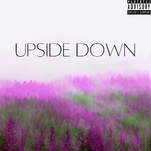 UPSIDE DOWN