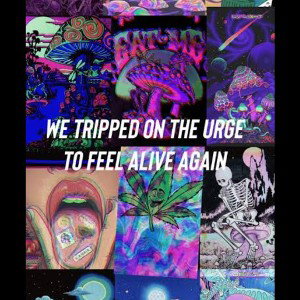 this life