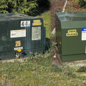 green box