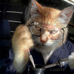 котик сваршик