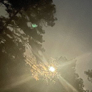 truth