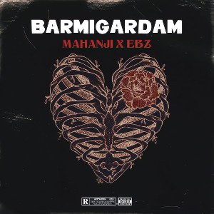 01 . barmigardam ( ft. Ebz)