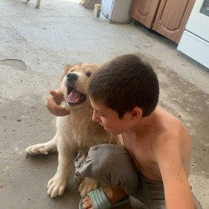 таксист