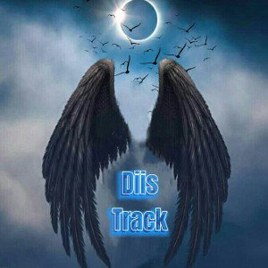 diis2