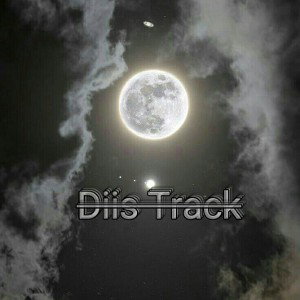 Diis3