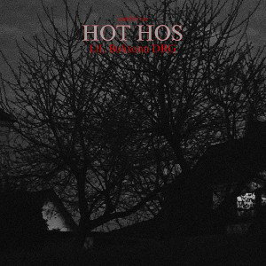 LiL Bulixonn-HOT HOS(angielski rap)