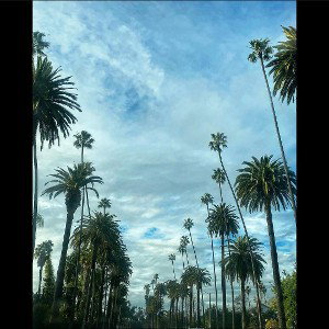Dreaming_prod. by CLerK_Waddle