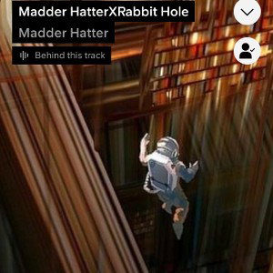 Madder HatterXRabbit Hole