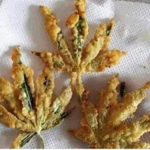 aditibo