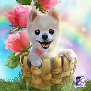 BANKROLL