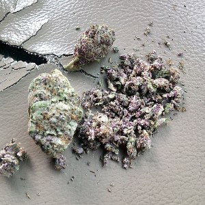 RIDE FOR THE G