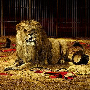 Lions Den