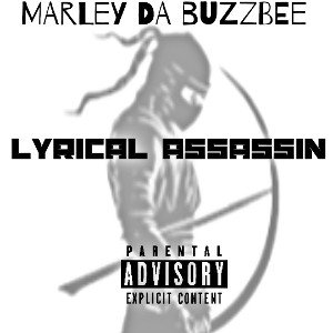 LYRICAL ASSASSIN 🥷🏾