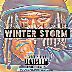 WINTER STORM ❄️ 