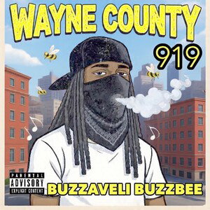 WAYNE COUNTY 🕸️