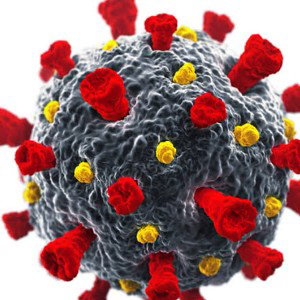 VIRAL CHOP
