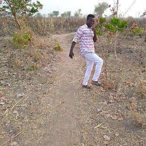 David sambil vous souhaite