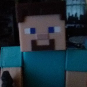 Minecraft fun or annoying