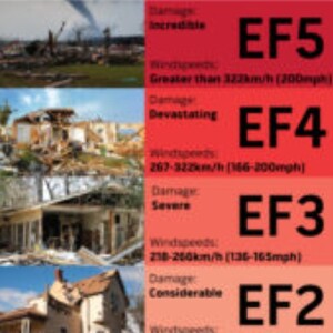 Damaged Property