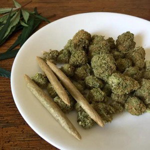 la melodia cocainomana