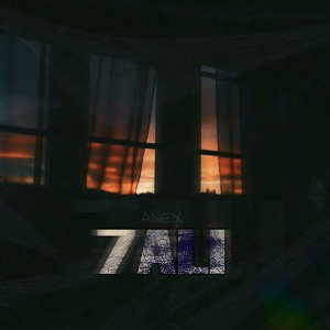 Anex - 7ALI