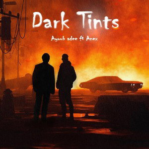 Ayoub adee ft Anex "Dark tints" [audio]
