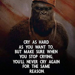 the_original_dondada_1_