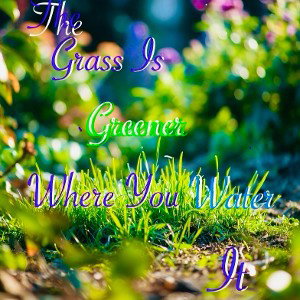 The Grass Is Greener Where You Water It