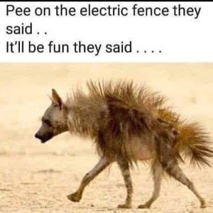 It'll Be Funny 😁 