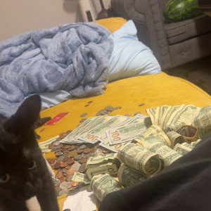 IM UP