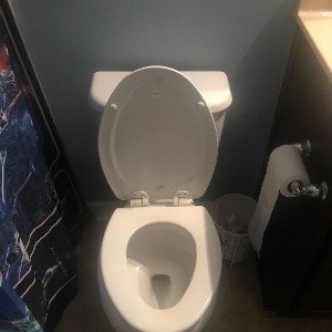 POTTY PARTY