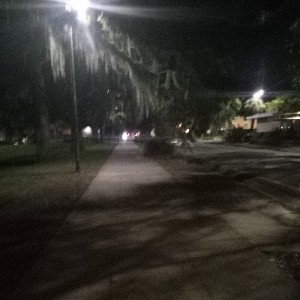 night crawlers 