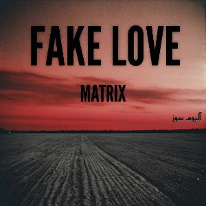Fake Love