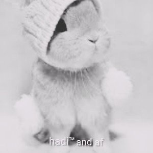 یه روز یه اقا خرگوشه😂😂😂😂😂 rabbit song