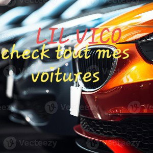 check tout mes voiture( LIL VIC) 