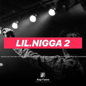 LIL.NIGGA 2