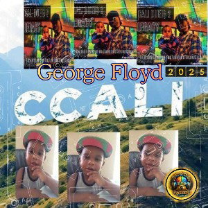  George  Floyd  