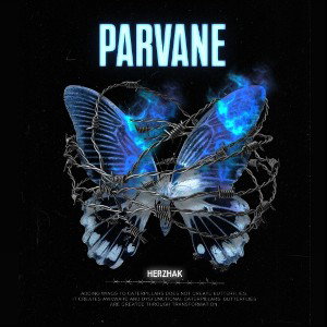 🦋🌌 parvane