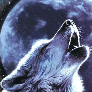 LOBO SIN LUNA 